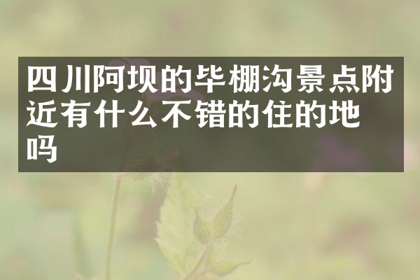 四川阿坝的毕棚沟景点附近有什么不错的住的地方吗