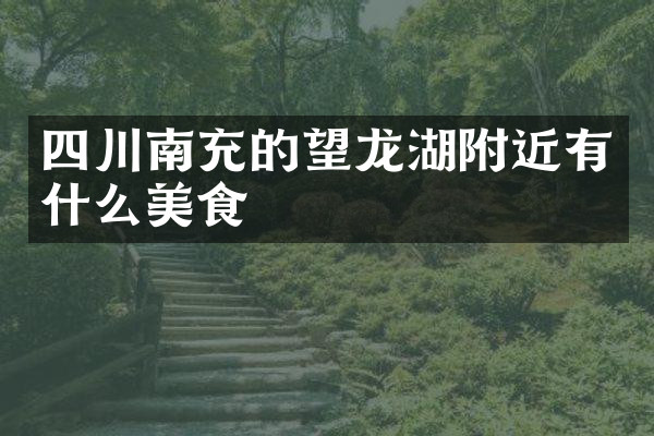 四川南充的望龙湖附近有什么美食