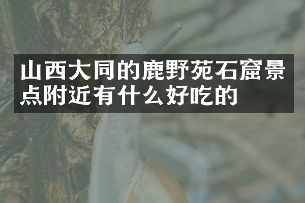 山西大同的鹿野苑石窟景点附近有什么好吃的