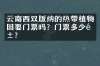 云南西双版纳的热带植物园要门票吗？门票多少钱？