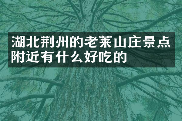 湖北荆州的老莱山庄景点附近有什么好吃的