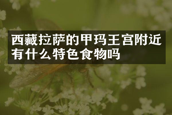 西藏拉萨的甲玛王宫附近有什么特色食物吗