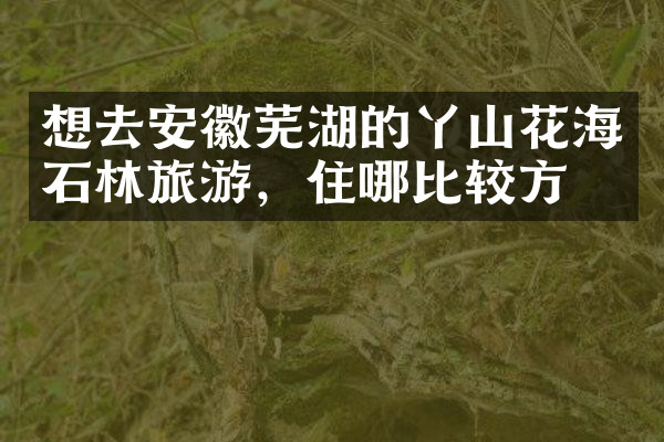 想去安徽芜湖的丫山花海石林旅游，住哪比较方便