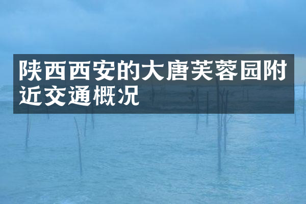 陕西西安的大唐芙蓉园附近交通概况