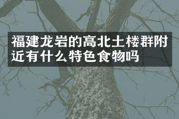 福建龙岩的高北土楼群附近有什么特色食物吗