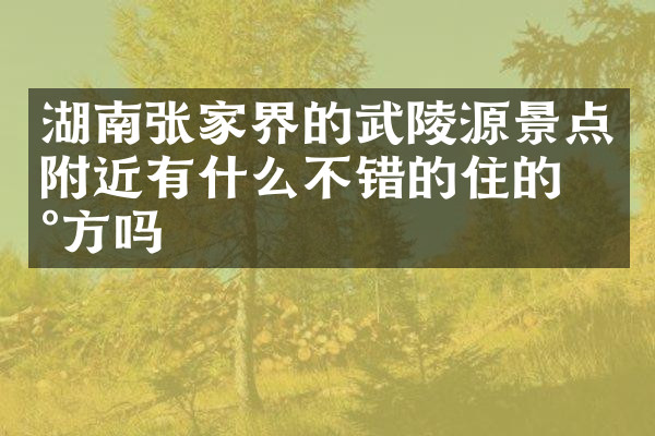 湖南张家界的武陵源景点附近有什么不错的住的地方吗