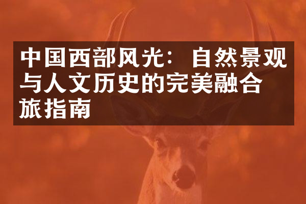 中国西部风光：自然景观与人文历史的完美融合之旅指南