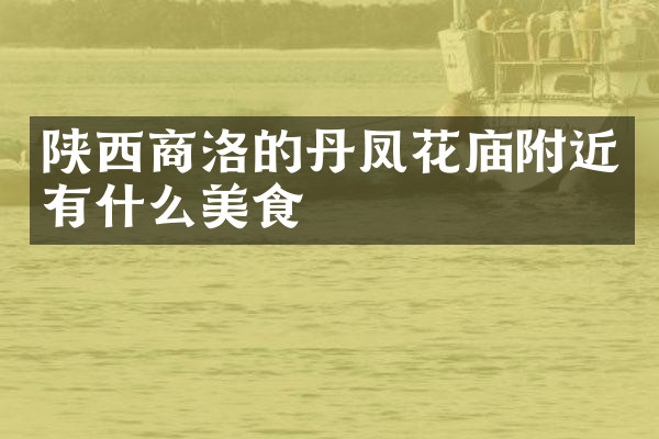 陕西商洛的丹凤花庙附近有什么美食