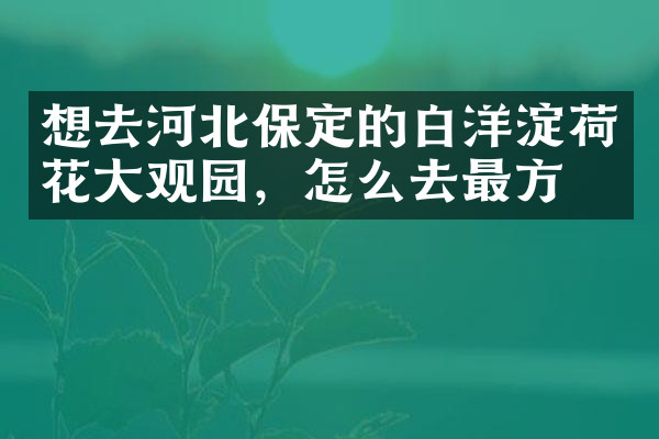 想去河北保定的白洋淀荷花大观园，怎么去最方便
