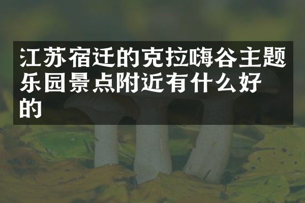 江苏宿迁的克拉嗨谷主题乐园景点附近有什么好吃的