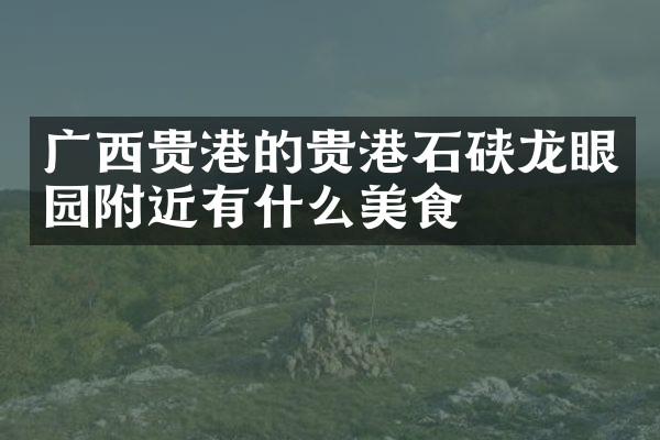 广西贵港的贵港石硖龙眼园附近有什么美食