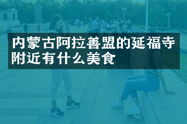 内蒙古阿拉善盟的延福寺附近有什么美食