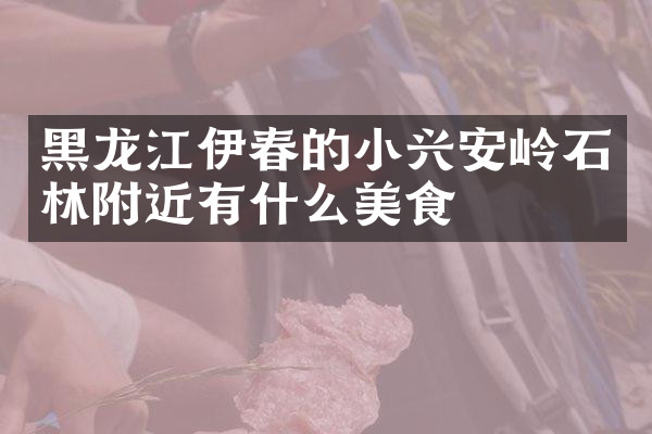 黑龙江伊春的小兴安岭石林附近有什么美食