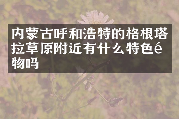 内蒙古呼和浩特的格根塔拉草原附近有什么特色食物吗