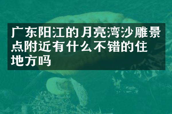 广东阳江的月亮湾沙雕景点附近有什么不错的住的地方吗