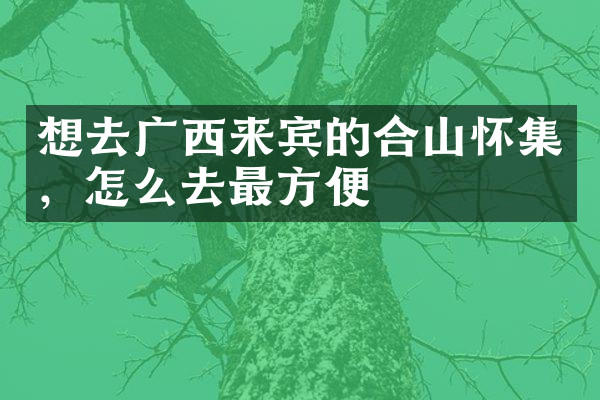 想去广西来宾的合山怀集，怎么去最方便