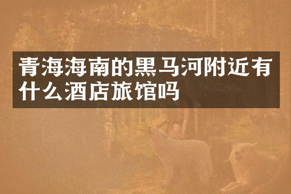青海海南的黑马河附近有什么酒店旅馆吗