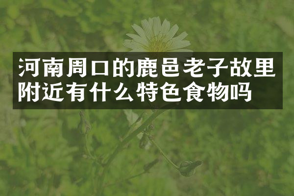 河南周口的鹿邑老子故里附近有什么特色食物吗