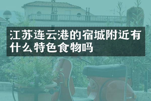 江苏连云港的宿城附近有什么特色食物吗