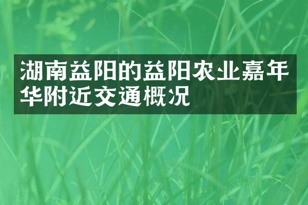 湖南益阳的益阳农业嘉年华附近交通概况