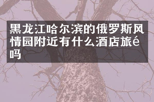 黑龙江哈尔滨的俄罗斯风情园附近有什么酒店旅馆吗