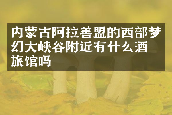 内蒙古阿拉善盟的西部梦幻大峡谷附近有什么酒店旅馆吗
