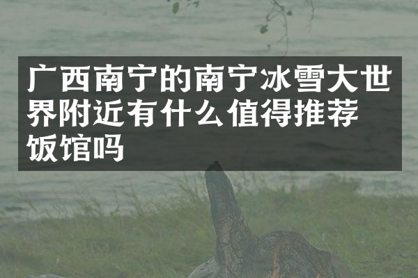 广西南宁的南宁冰雪大世界附近有什么值得推荐的饭馆吗