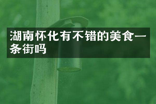 湖南怀化有不错的美食一条街吗