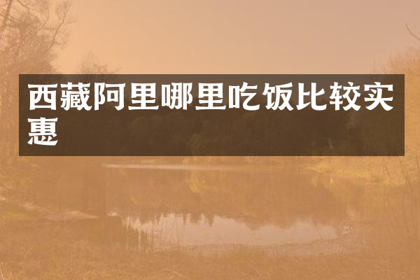 西藏阿里哪里吃饭比较实惠
