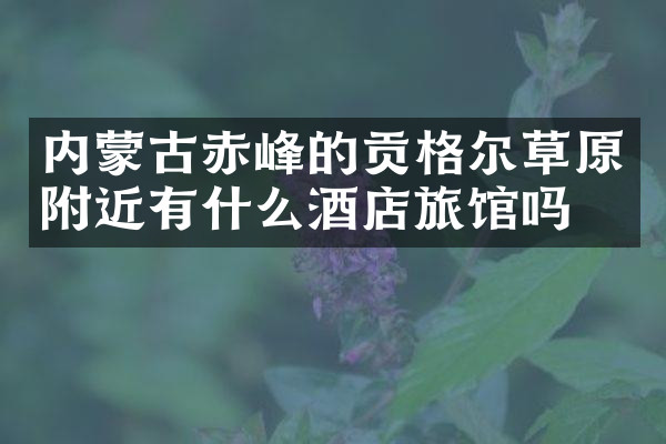 内蒙古赤峰的贡格尔草原附近有什么酒店旅馆吗