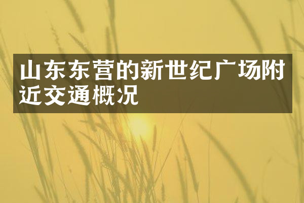 山东东营的新世纪广场附近交通概况