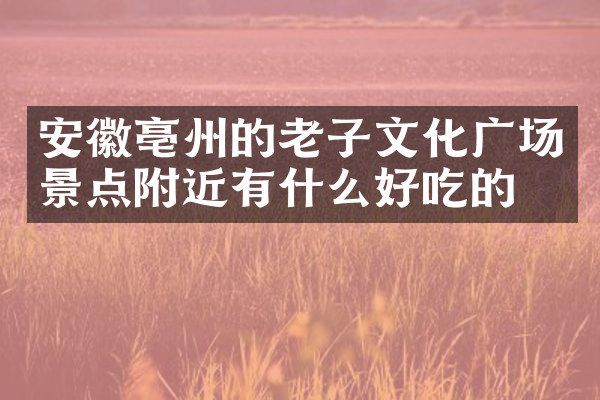 安徽亳州的老子文化广场景点附近有什么好吃的