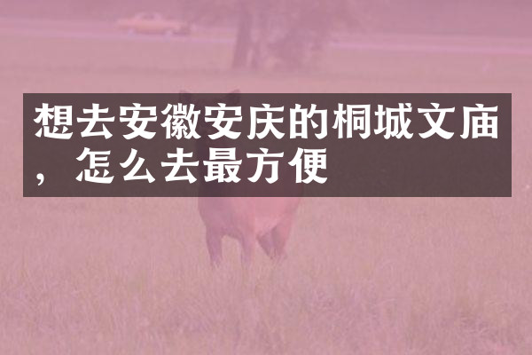 想去安徽安庆的桐城文庙，怎么去最方便