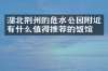 湖北荆州的危水公园附近有什么值得推荐的饭馆吗