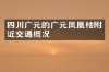 四川广元的广元凤凰楼附近交通概况