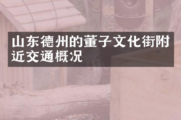 山东德州的董子文化街附近交通概况