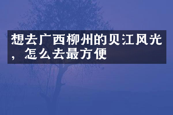 想去广西柳州的贝江风光，怎么去最方便