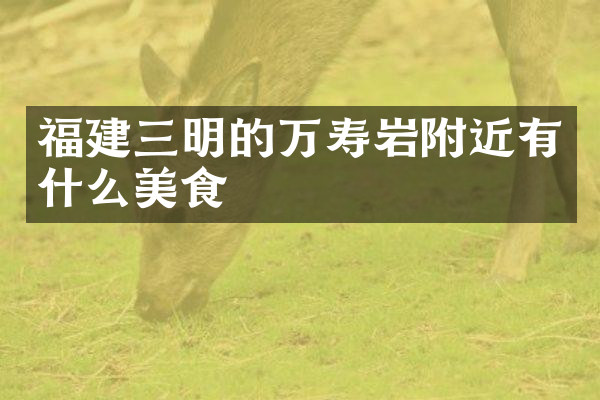 福建三明的万寿岩附近有什么美食
