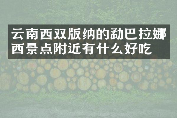 云南西双版纳的勐巴拉娜西景点附近有什么好吃的