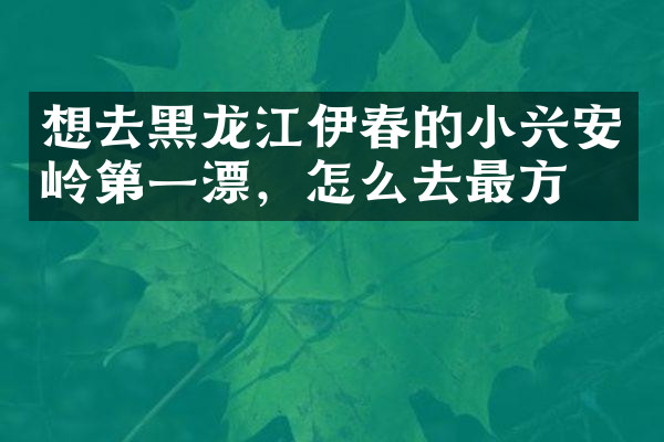 想去黑龙江伊春的小兴安岭第一漂，怎么去最方便