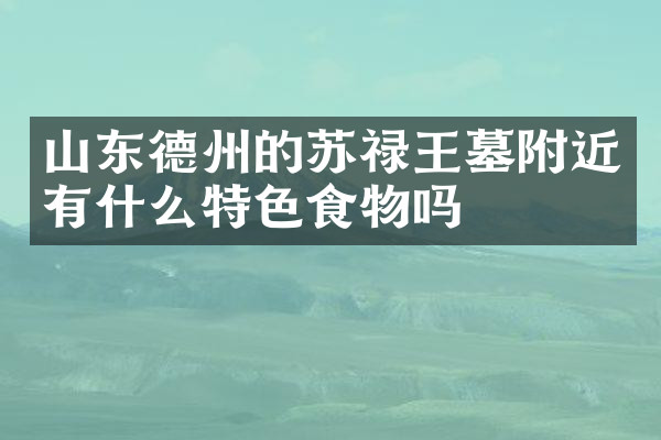 山东德州的苏禄王墓附近有什么特色食物吗