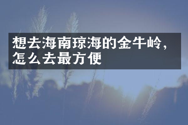 想去海南琼海的金牛岭，怎么去最方便