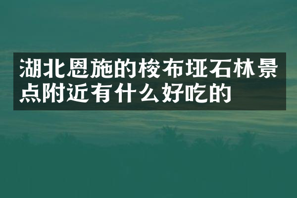 湖北恩施的梭布垭石林景点附近有什么好吃的
