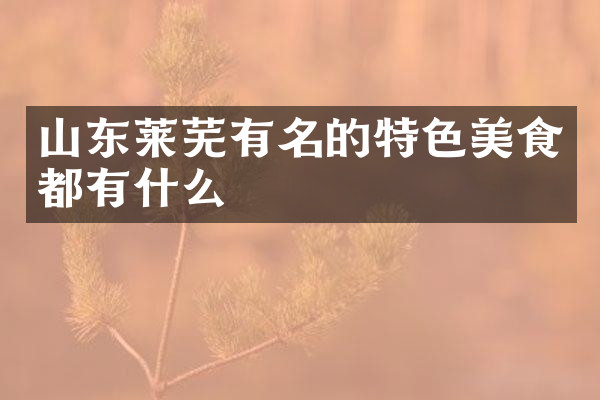 山东莱芜有名的特色美食都有什么