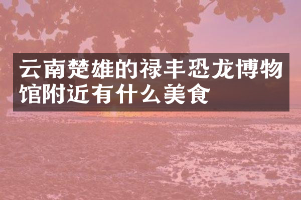 云南楚雄的禄丰恐龙博物馆附近有什么美食