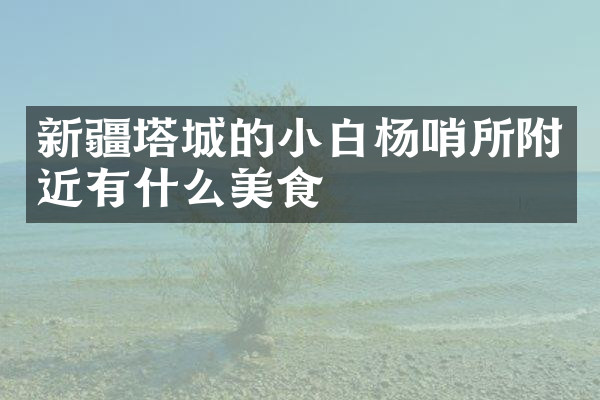 新疆塔城的小白杨哨所附近有什么美食