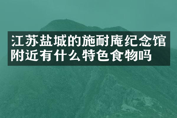 江苏盐城的施耐庵纪念馆附近有什么特色食物吗