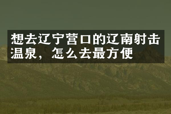 想去辽宁营口的辽南射击温泉，怎么去最方便