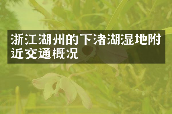 浙江湖州的下渚湖湿地附近交通概况