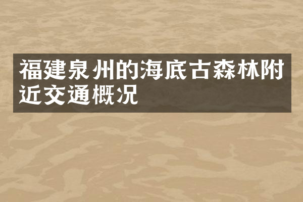 福建泉州的海底古森林附近交通概况